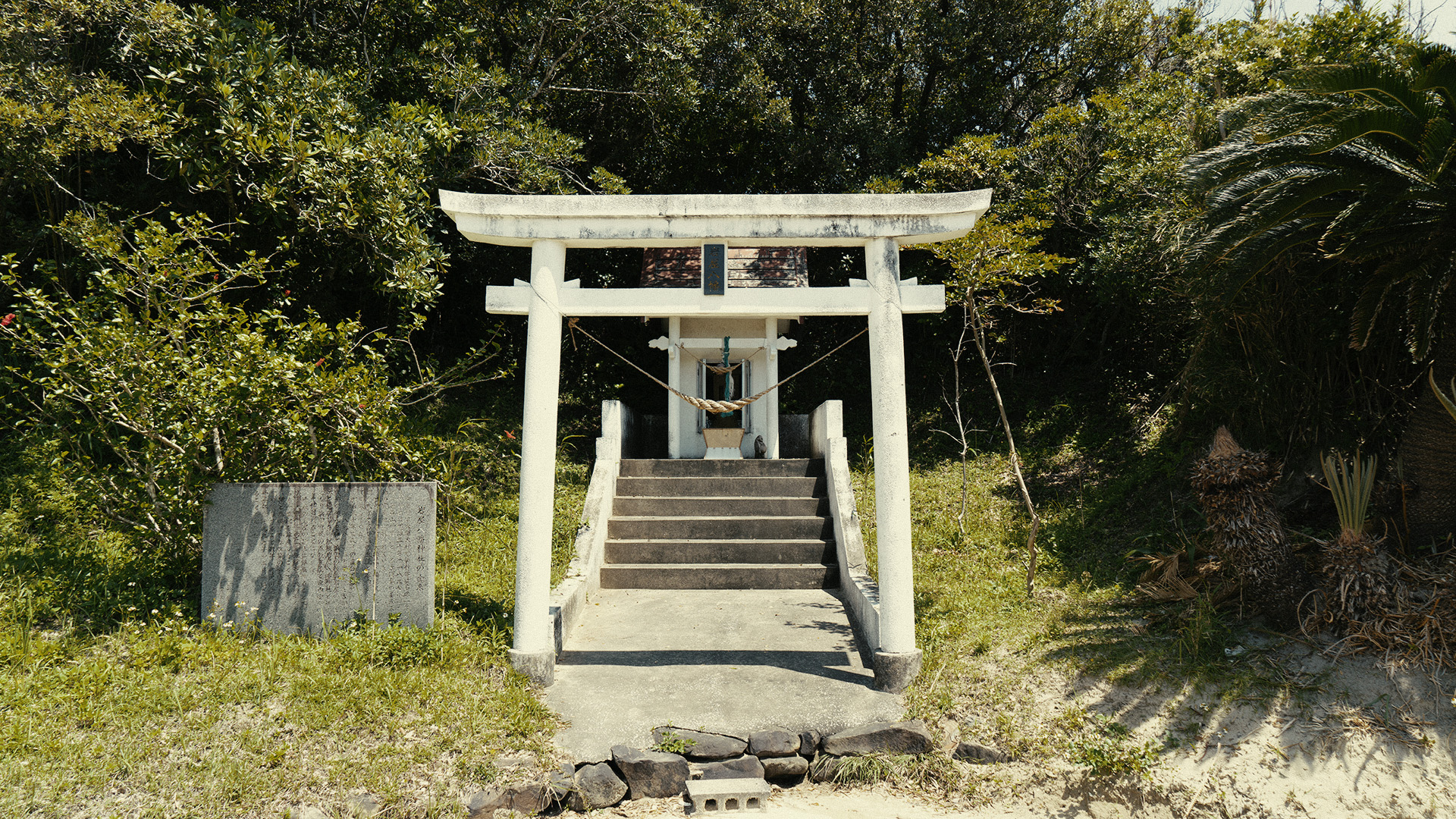 tanegashima-13