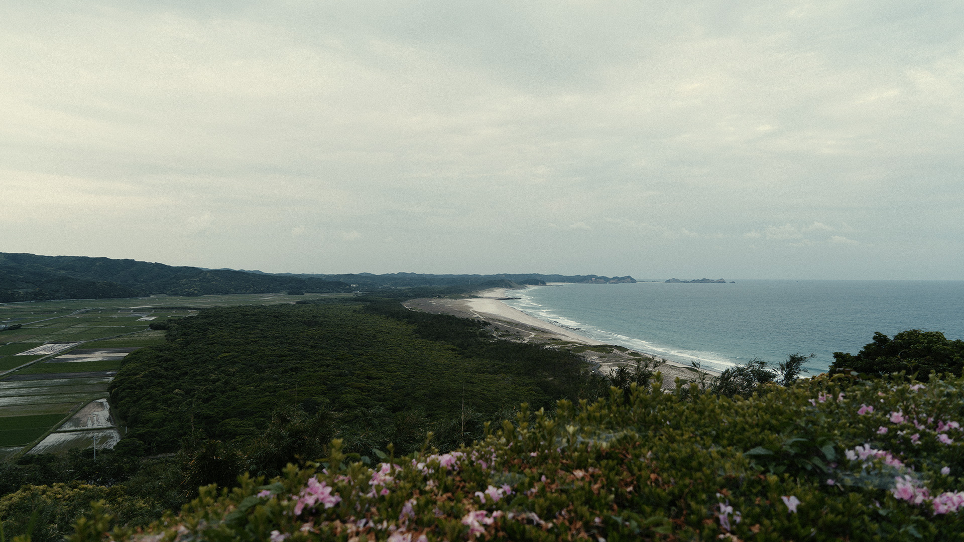 tanegashima-23