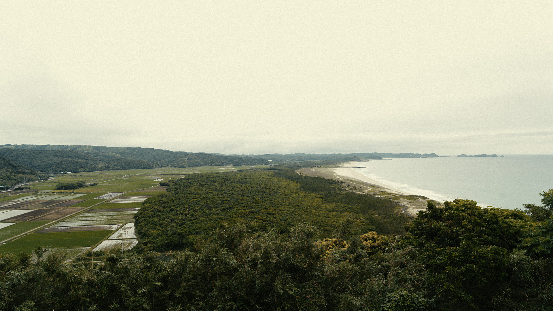 tanegashima-31